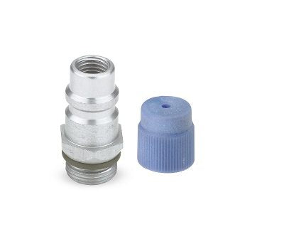 2557 OE GM Primary Seal LS (2607) Service Port with R-134a Service Port Cap 13mm LS Blue (2613)