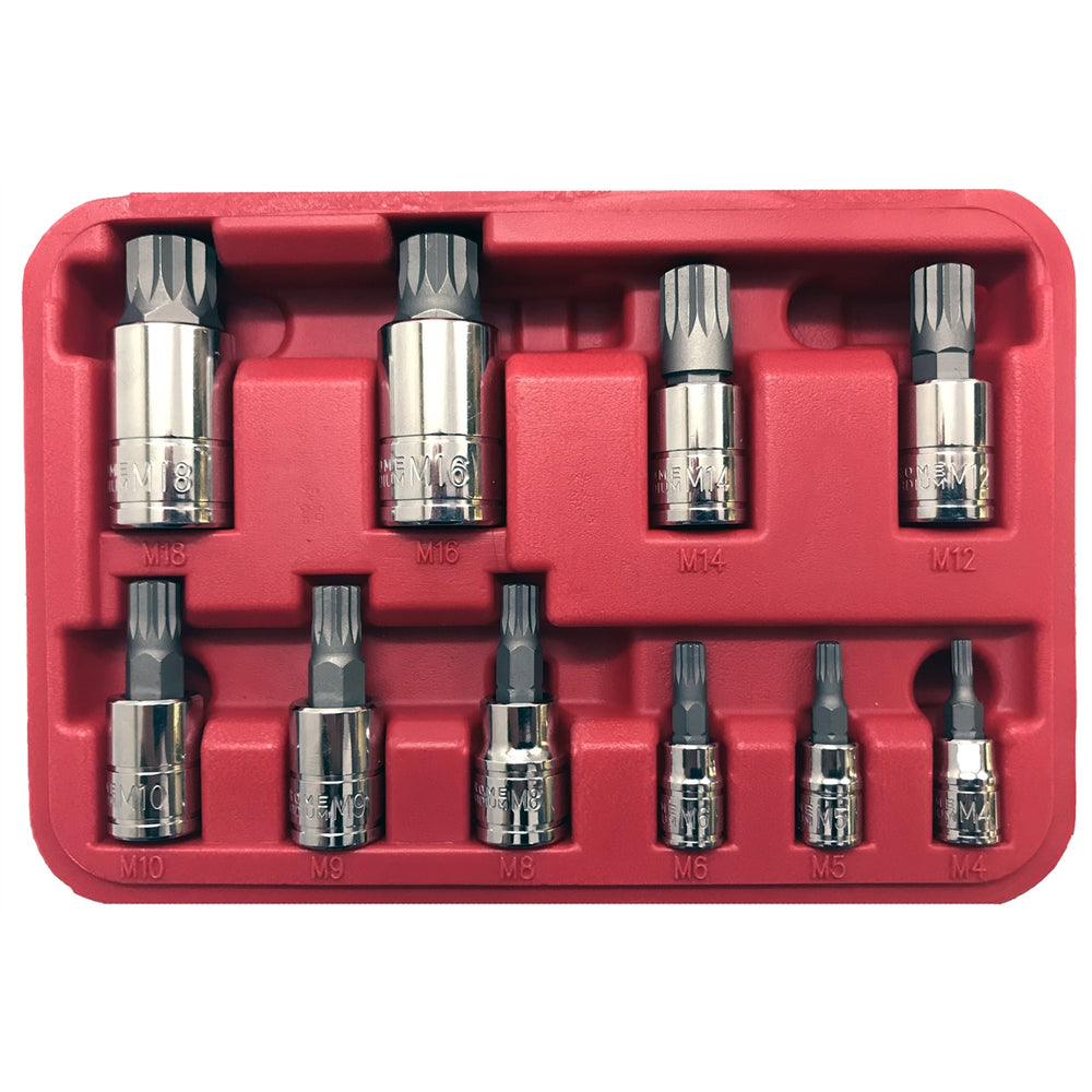 10PC XZN Socket Set