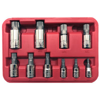 10PC XZN Socket Set