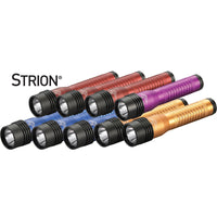 12-Pack Strion LED HL Flashlight in Assorted Colors